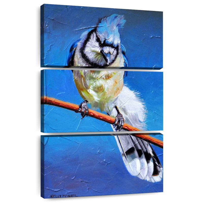 Brampt Blue Jay On A Branch