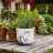 Handcrafted Cement Planter with Textured Tree Trunk Design and Mushroom Accents - Decorative Pot for Indoor and Outdoor Spaces.-108204338