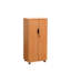 Armoire de rangement à 2 tablettes avec porte verrouillable à 2 portes Saravia-1586714437