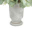 Eucalyptus Arranged in Stone Vase