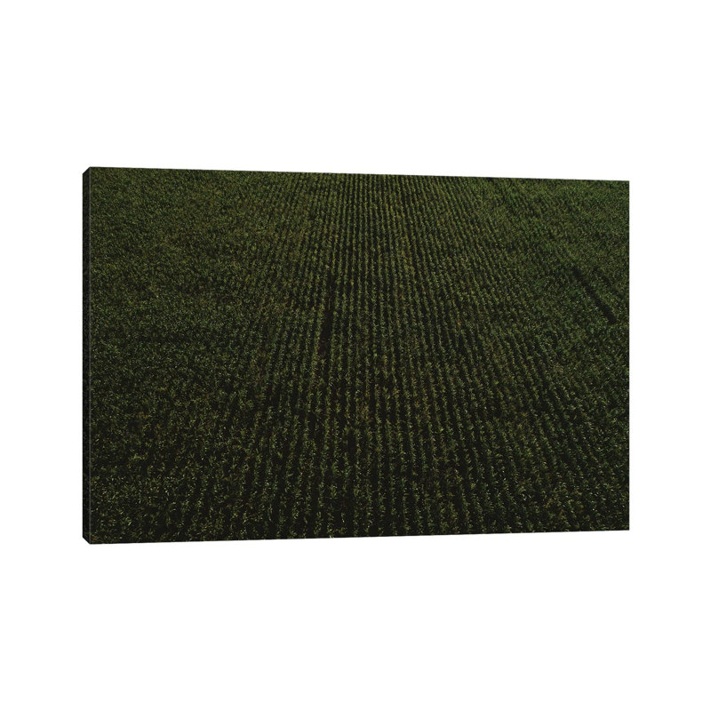 Rural Corn Fields II 1 Piece Wall Art on Canvas, 30.48cm H x 45.72cm W x 1.91cm D, Wrapped Canvas