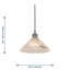 Broadbelt 1 - Light Clear Cone Pendant