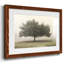 " Trees In The Fog II "-583375831-583375820
