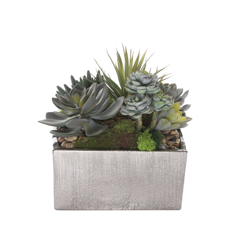 Faux Succulent in Square Etched Pot, Silver