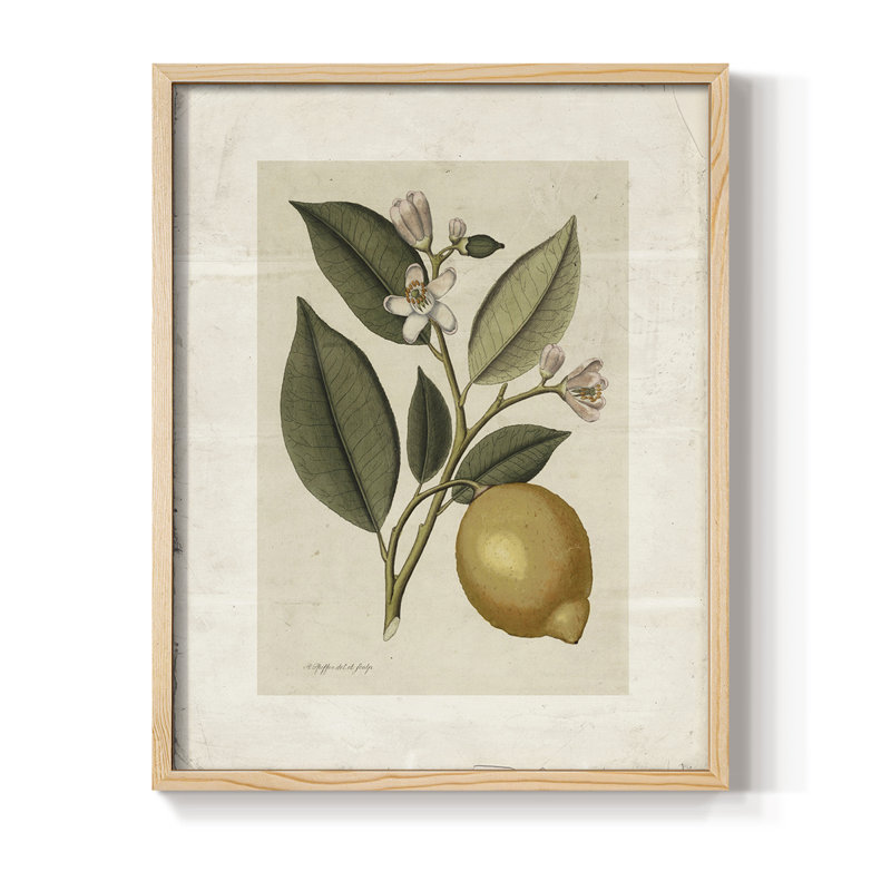 Motif floral rétro CCLLXII, Naturel, H 10 po x l 8 po
