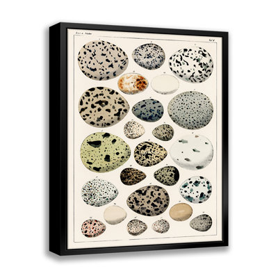 Types of Eggs - Cadre flottant, impression sur toile