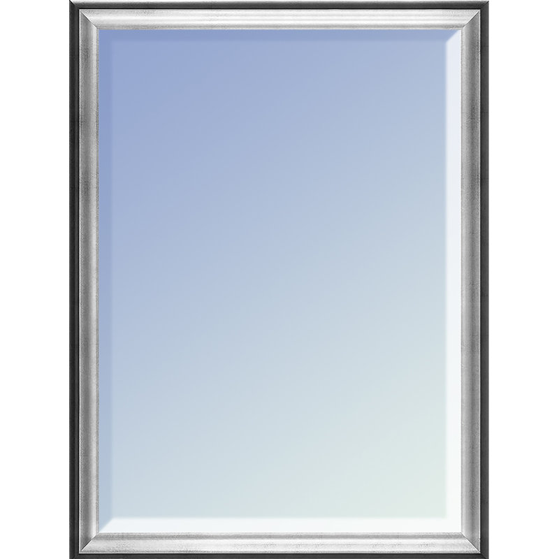 Makaylla Rectangle Wall Mirror, 20" x 30", Silver