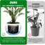 Pot Planter-1176478783