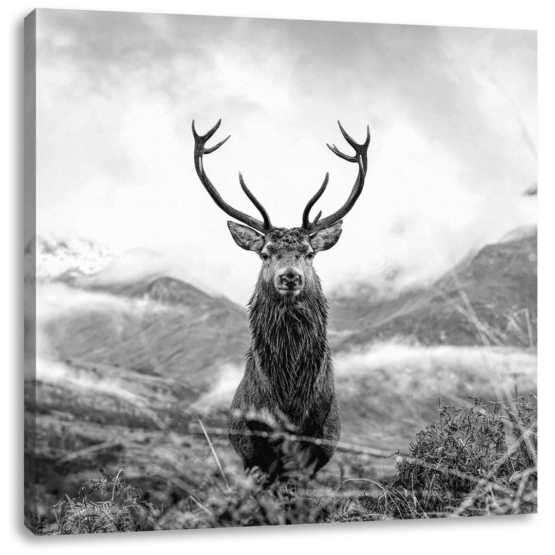 Leinwandbild Majestätischer Hirsch in Berglandschaft