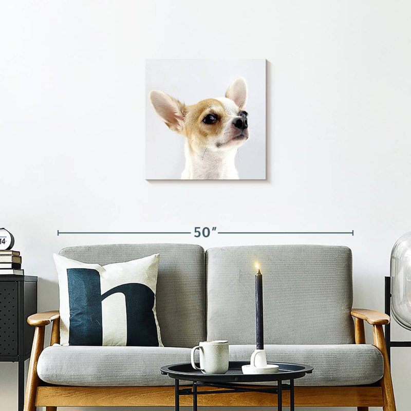 Crowle Musing Chihuahua, 20" H x 20" W