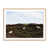 White Oak Framed selected
