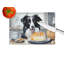 Planche à découper en verre Border Collie
