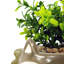 38.1cm Faux Crassula Plant in Pot