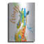 «Colorful Safari Animals D» par Jean Plout, art mural en métal-915986959