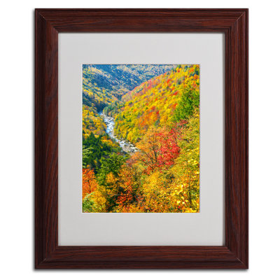 CATeyes - Single Picture Frame Photograph on Canvas