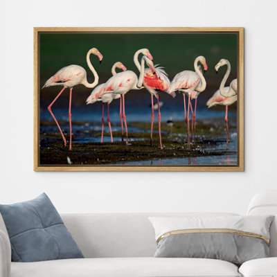 " Vibrant Pink Flamingos Safari Jungle "