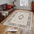 Stylish Hall Carpet (3.3 x 6.6 ft), 100% Polyester, 0.3 in Pile Height | Antibacterial, Non-Slip PVC Felt Dot Underside | Machine Washable, 3D Digital Print, Durable & Easy to Clean | Perfect for Entryway & Living Areas-1753609906