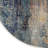 Oriental Indoor Rug-341473807
