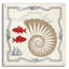 Beachcrest Home ™ «Pacific Nautilus» par Studio Mousseau, art mural en verre acrylique-890963144