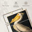 Ensemble de 3 pièces sur toile American American Pelican-464885899
