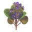 Bouquet de fleurs d'Afrique (ensemble de 4)-480032919