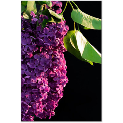 Colours Of Spring - Print on Canvas