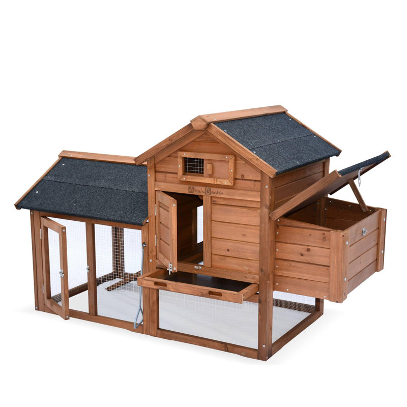 Berta Chicken Coop with Chicken Run