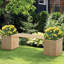 Planter-374742568
