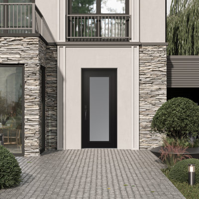Porte d'entrée avant en verre С1 panneau noir acier noir / blanc givré
