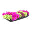Orchid and  Arrangement-286518433-286518434