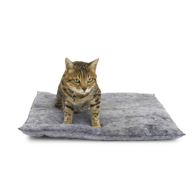 Charcoal Medium Plush Fiberfill Cat Pillow Set