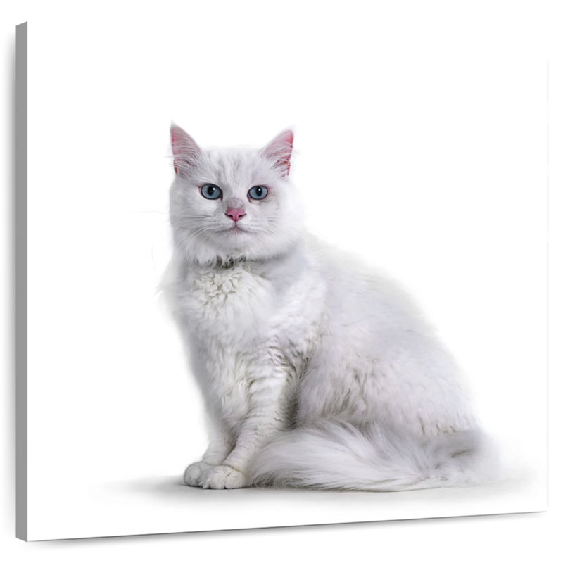 Crowle Elegant White Cat, 20" H x 20" W