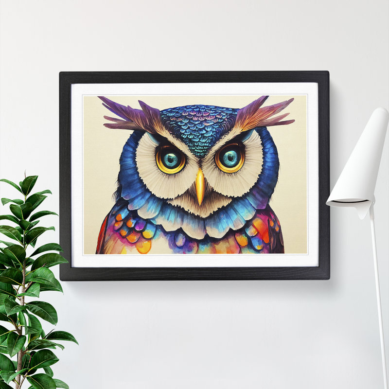 Colourful Long Eared Owl - Print, Black Framed, 46cm H x 64cm W x 2cm D