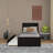 Ilka Twin Platform Bed with Trundle