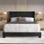 Elysian Upholstered Bed-95100049-95100052