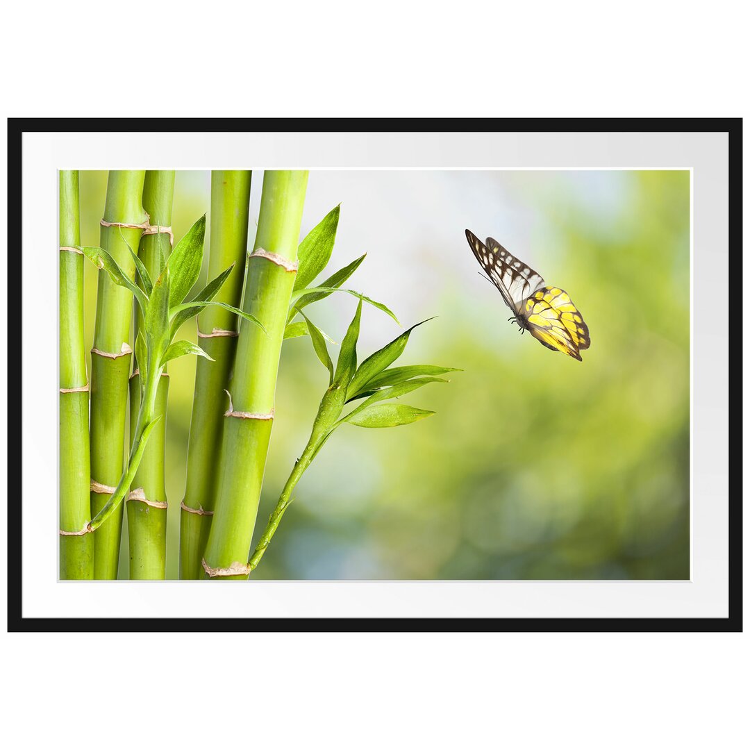 Gerahmtes Poster Bambus mit Schmetterling