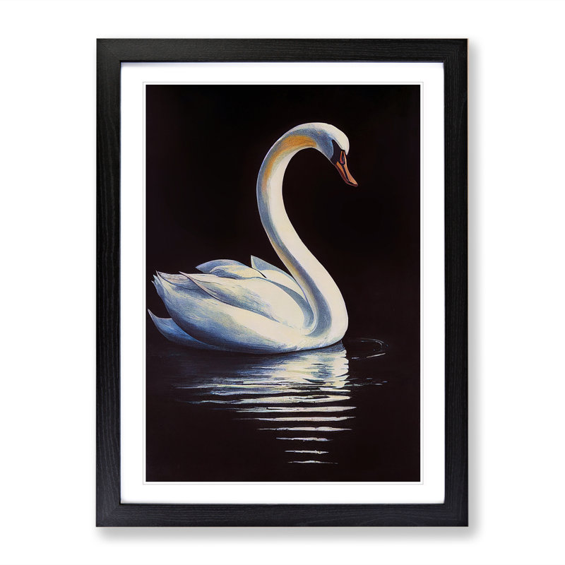 Swan In A Pond No.2 - Single Picture Frame Print, 64cm H x 46cm W x 2cm D, Black Framed