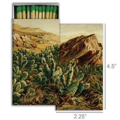 Matches - Cactus figue de barbarie