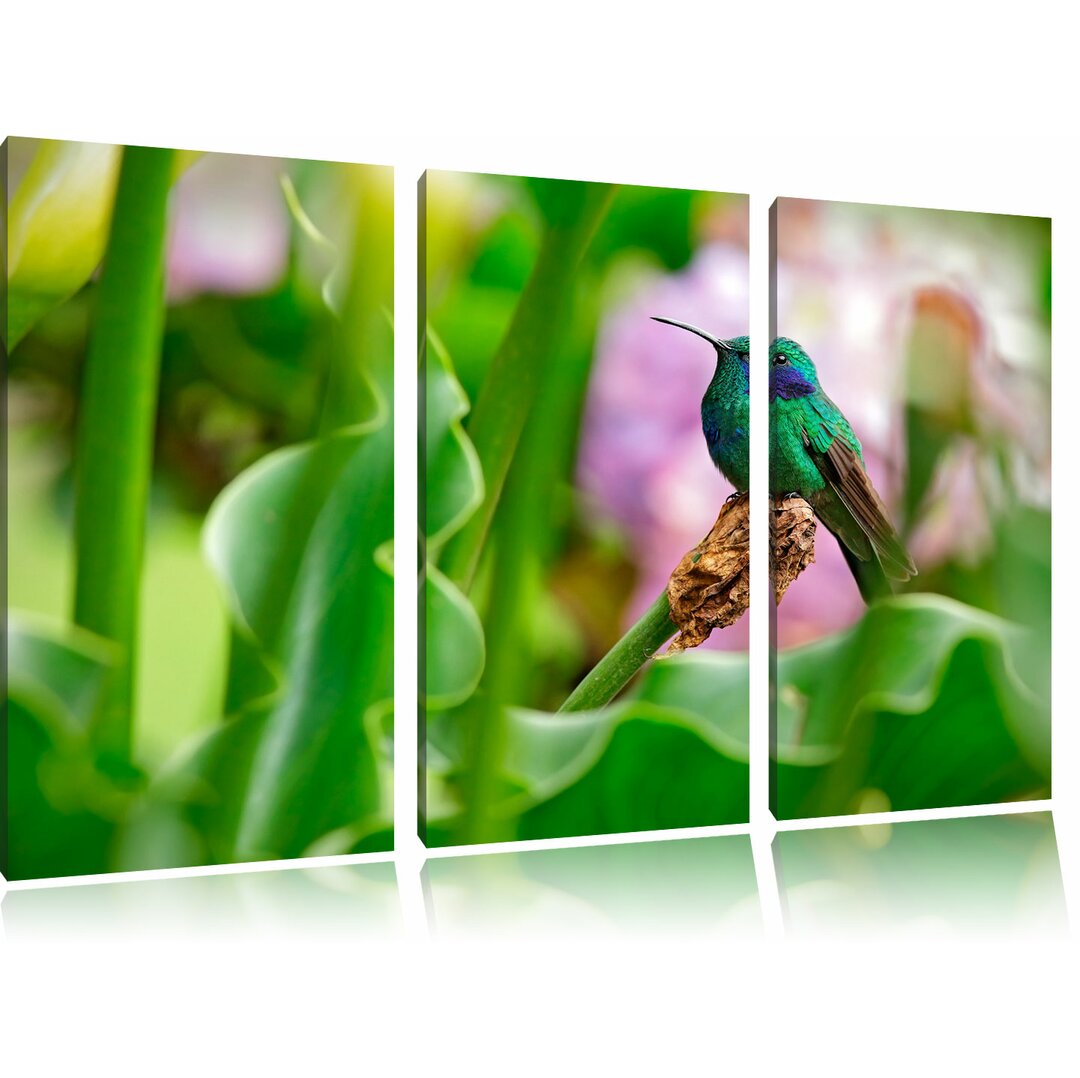 3-tlg. Leinwandbilder-Set Kolibri in seinem natürlichen Lebensraum, Fotodruck