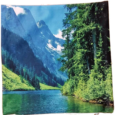 Housse de coussin décoratif imprimée mountain Vandervort