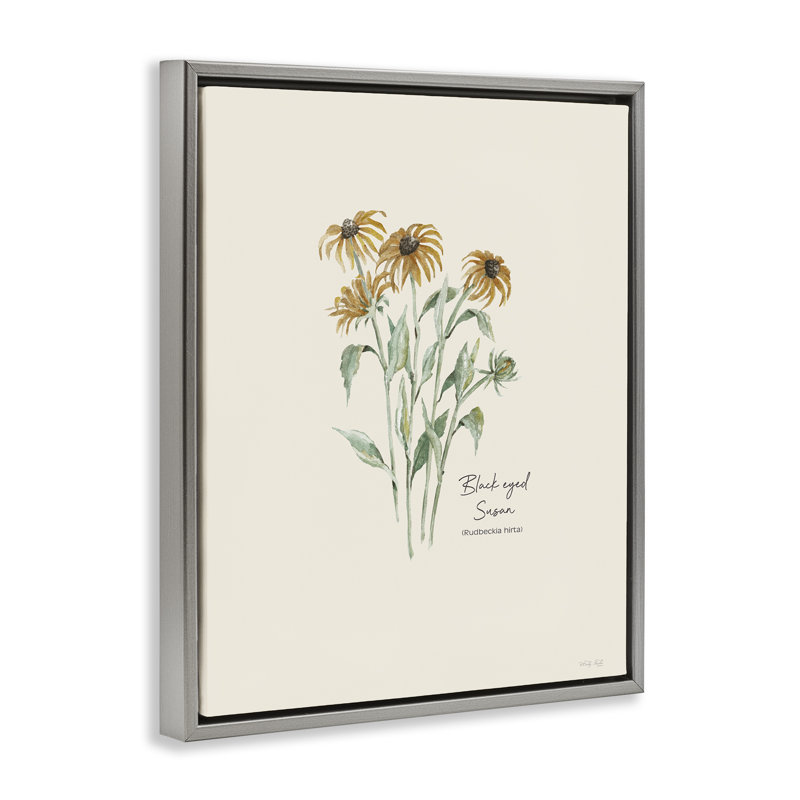 «Black Eyed Susans» par Cindy Jacobs, Cadre flottant gris lustré, H 21 po x l 17 po