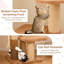 Arbre à chat 65 po pour l'intérieur avec lit pour chat amovible
