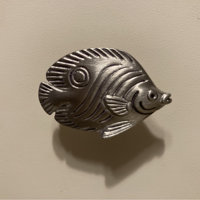 Sea Life Cabinet Knobs 2 Butterfly Fish Right Facing Knob - Wayfair Canada