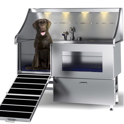 Station de lavage pour chien, station de baignade pour chien professionnelle en acier inoxydable à DEL (61 po)