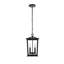 Luminaire suspendu d'extérieur 8,5 pouces Nevis Jamila-83119571-83119570