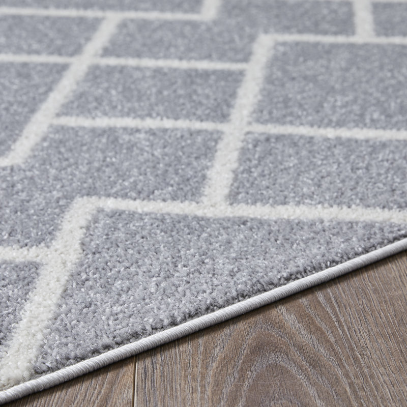 Christine Bleyana Gray Area Rug, Rectangle 4' x 6'