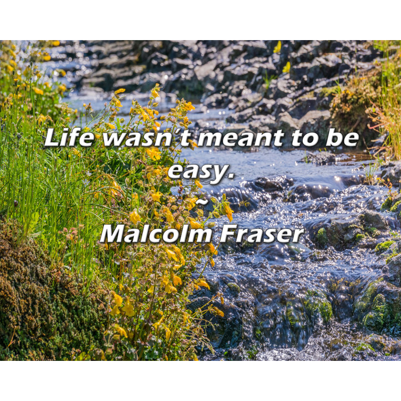 Citation de Malcolm Fraser: «La vie n'a pas été conçue pour être facile., H 26 po x l 32 po