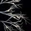 1.97' H Lighted Artificial Cedar Christmas Tree