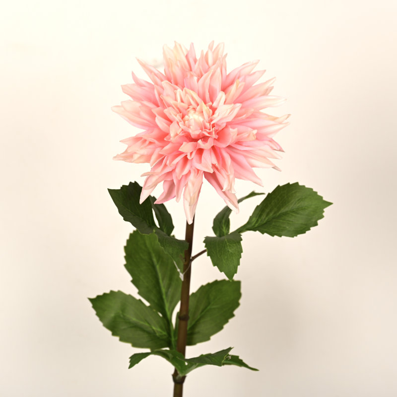 Arrangement floral 28 po Dahlia, Rose
