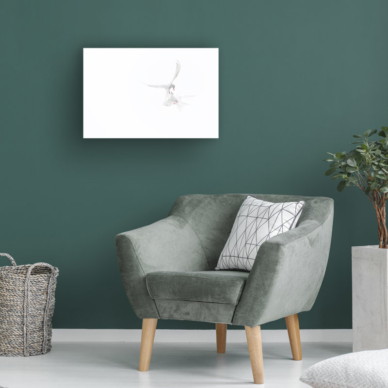 Roberto Marchegiani  Arctic Terns Canvas Art, 30" H x 47" W